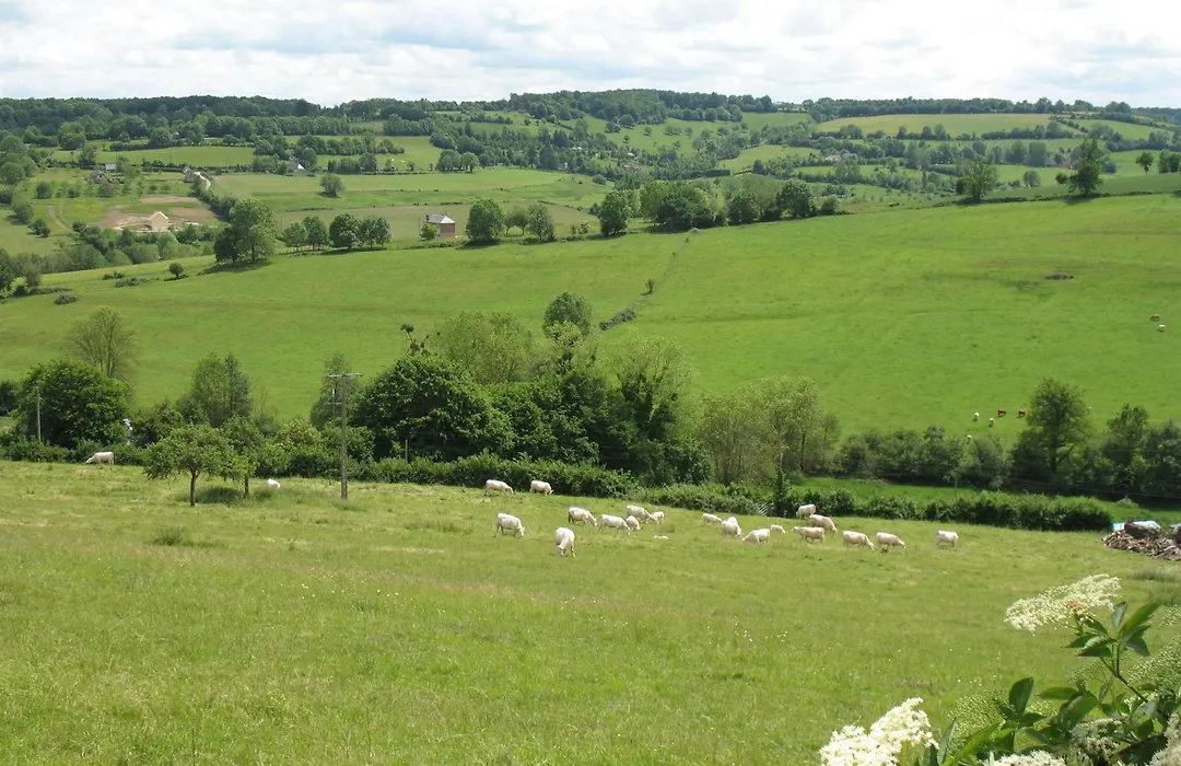 Gite Le Refuge-1